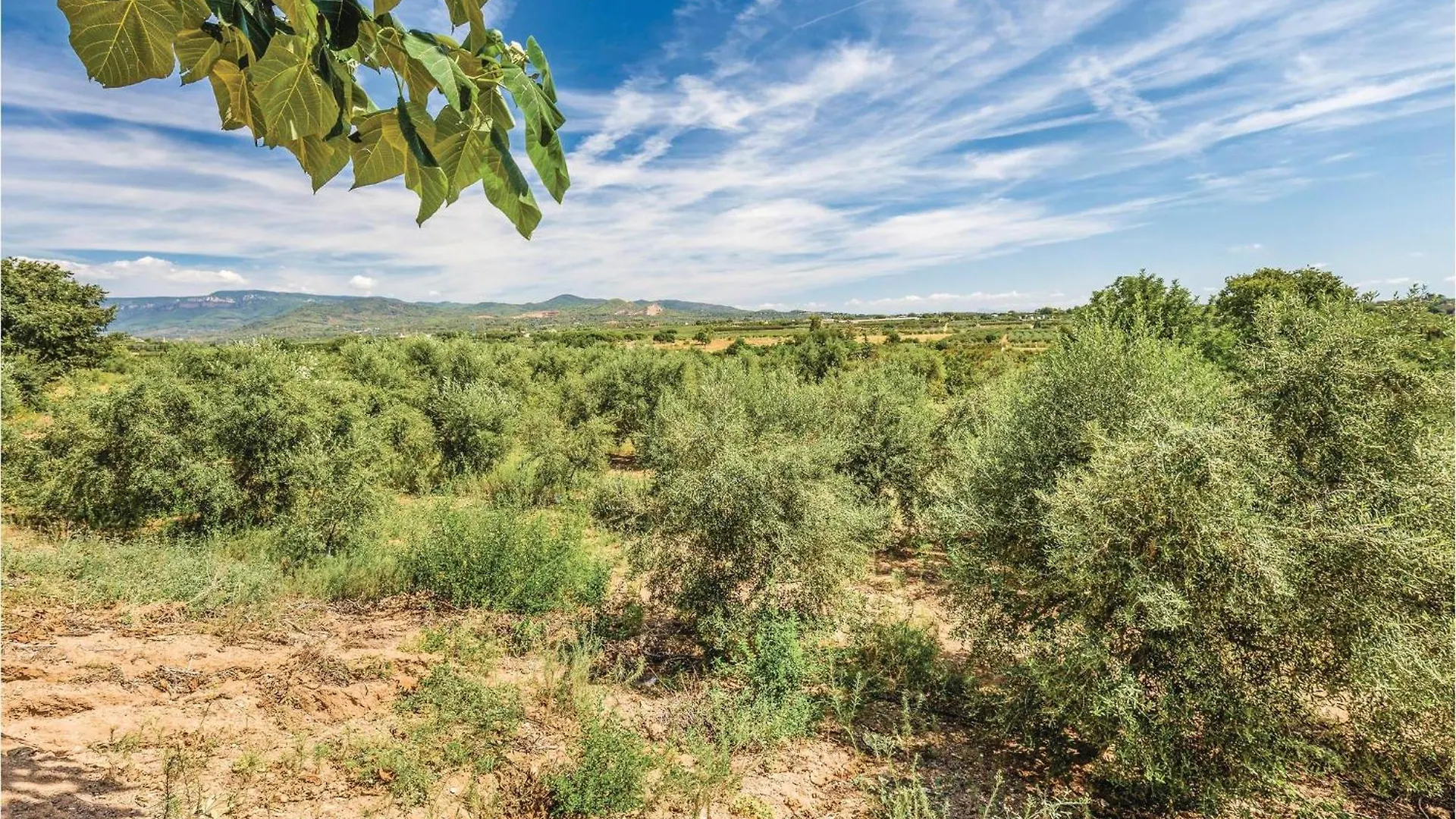 6 Bedroom Gorgeous Home In Riudoms 0*,  Spain